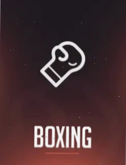 Rainbet Boxen Live-Wetten Deutschland